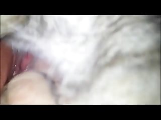 Xvideos Porno Br