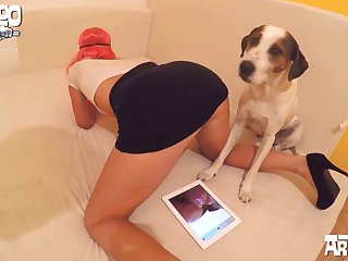 Зопорно