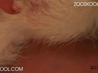 Porno Zofilia