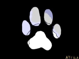Humans Having Sex With Dogs