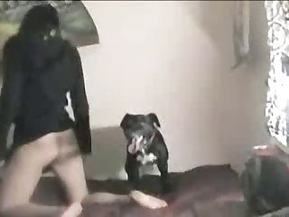 Sex Zoo