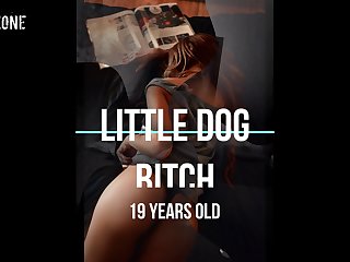 Mulher Transado Com Cachorro