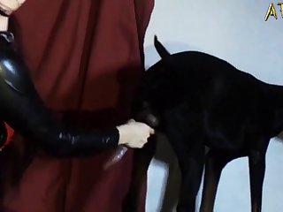 Zoofilia Com Gato