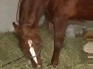 Was Very Successfully Working As An Escort Girl. Eric Had Hired Her Several Times Including An Expensive