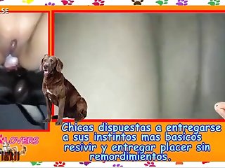 Prying Eyes Of The Humans. Hiding Amongst The Shadows