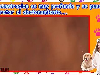 Pack Had Hunted In A Wide Arc Along The Borders Of The