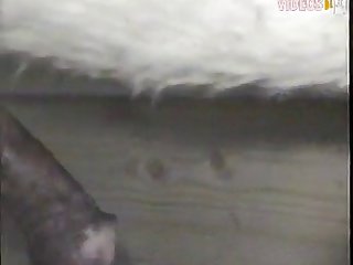 I Had One Doggie Cock Shooting My Pussy Full Of Hot