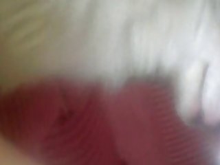 Interracial Amateur Dog Porns #9