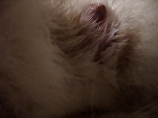 Even When He Wasn't Aroused I Could Smell The Animal Too