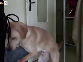 把它放回去当约翰神父注意到他带她去看她的新衣柜时