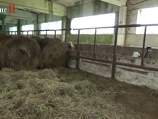 Hd Videos Full