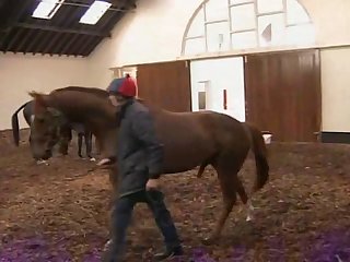 Mating Call Of The Wild Farm Animals