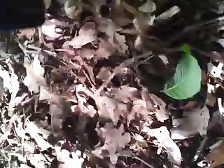 Vid 20170415 Wa0002
