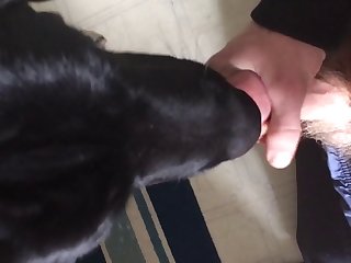 Morning Licking