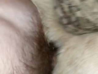 My Friend And My Bitch