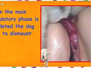 Manual Dog Lovers English Translation By Lurka