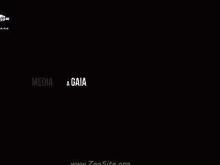 049 Zhd Artofzoo Vixen Trip To Tie 3 Hd 004