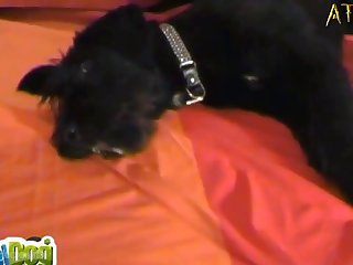 Self Produced Intimate Encounters