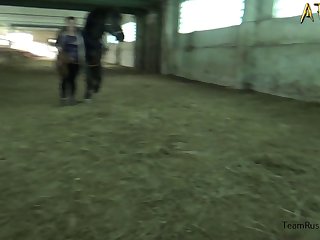 Couple Bestiality Porn