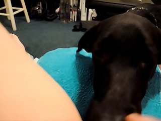 Isabelle Animal Crossing Scat Porn