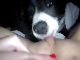 Porn Vedio With Animal