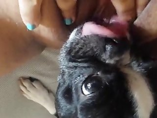 Free Animal Porn Site