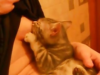 Animal Porn Dog Man
