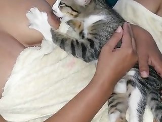 Porn Pregnant Animal