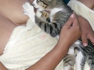 Porn Pregnant Animal