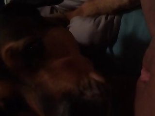 Women Animal Dog Sex Porn