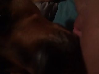 Women Animal Dog Sex Porn