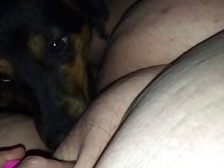 Hard Core Animal Porn