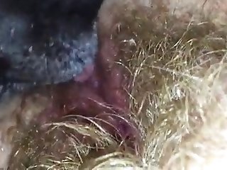 Farm Animal Gay Porn