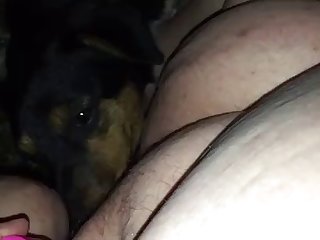 Turkish Animal Porn