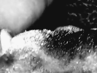 Animal Breeding Videos Porn