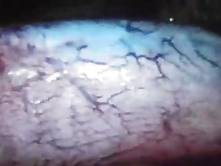 Pig Anal Animal Porn