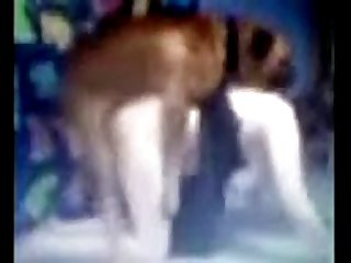 Animal Crosing Porn