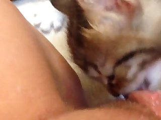 Porn Humping Stuffed Animal
