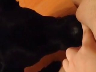 Animal Porn Fuck