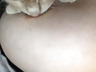 Reddit Animal Crossing Porn