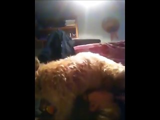 Minus8 Animal Crossing Porn