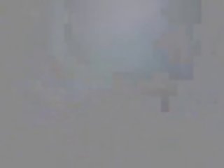 Gay Animal Porn Gifs