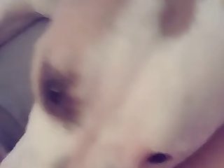 Vanessa Prod Animal Porn
