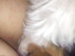 Sex Porn Animal Crossing