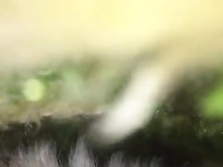 Animal Porn Tube Hd