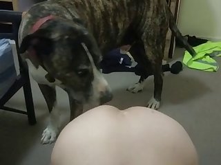 Egyptian Villager Animal Crossing Porn