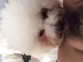 Animal Girls Porn Video