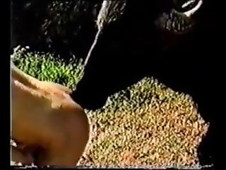 Romantic Animal Porn