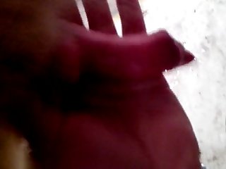 Asian Animal Porn Sex