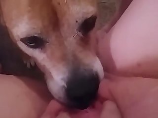 3d Animal Gay Porn